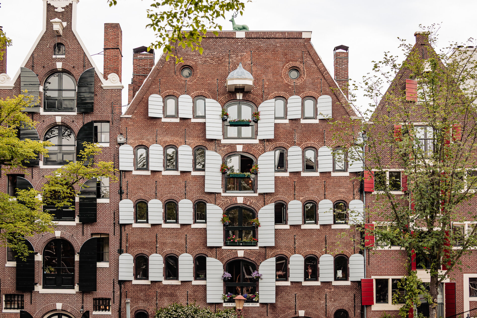 Historic Amsterdam canal houses featuring distinctive brick façades, shutters and flower-filled windows
